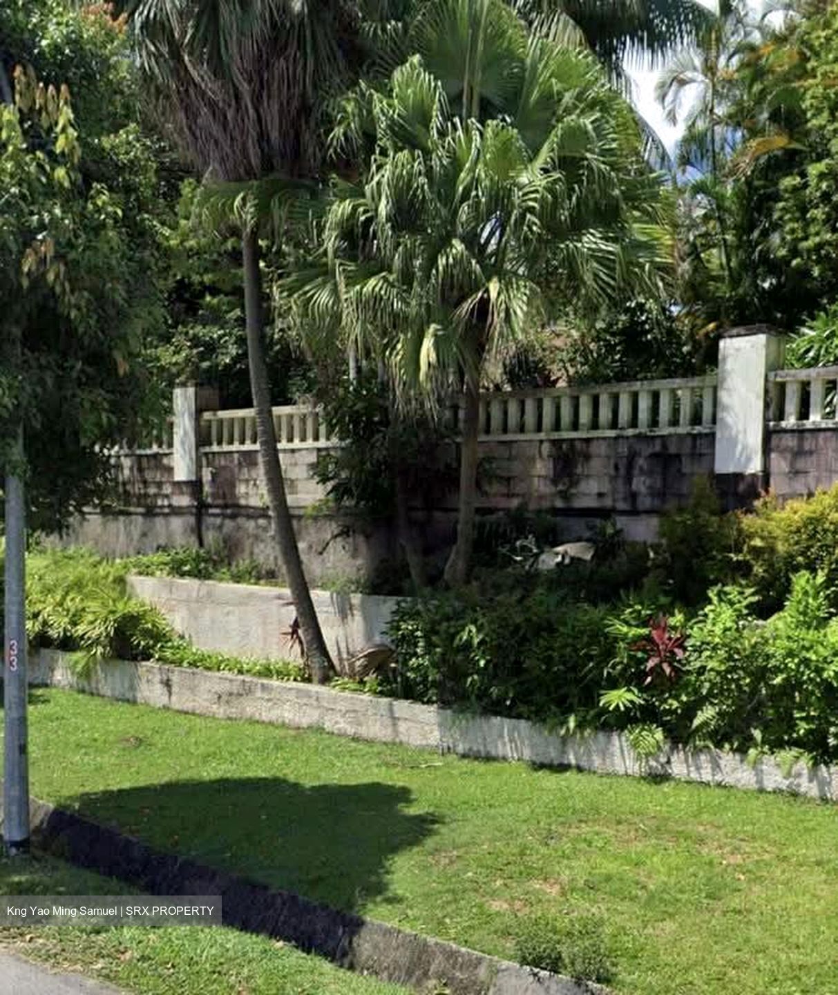 Leedon Park (D10), Detached #532085641